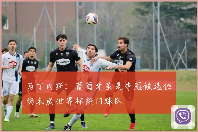 马丁内斯：葡萄牙虽是夺冠候选但仍未成世界杯热门球队